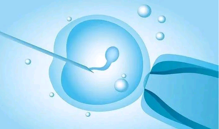 2023上海三代试管借卵代怀生男孩单周费用明细一览：第三方助孕价格明细一览
