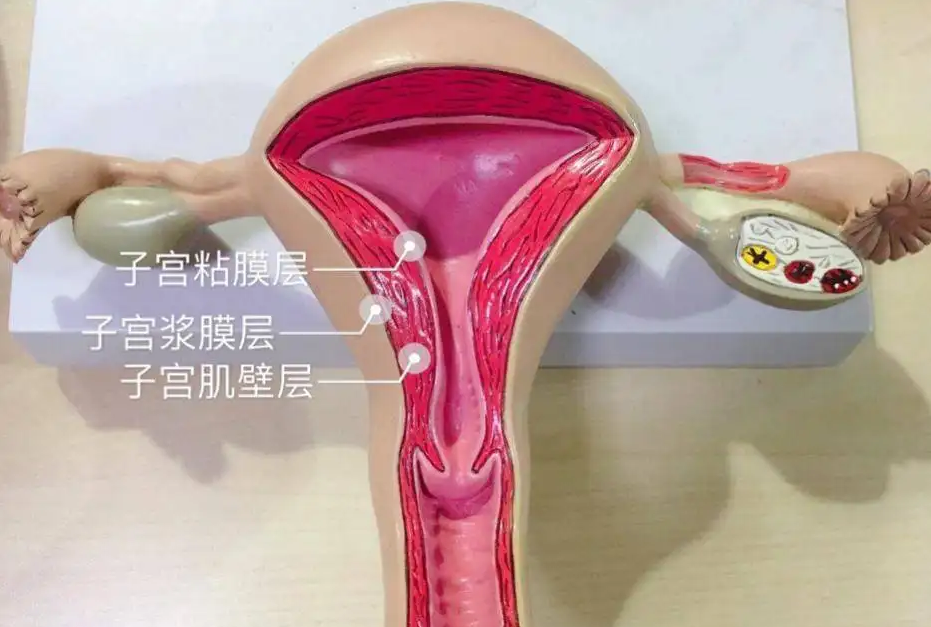 济南生育保险报销流程,济南市第一妇婴保健院怀孕建卡要求和建卡流程攻略
