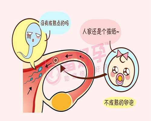 济南供卵生的孩子有血缘_济南世纪助孕供卵试管中心_上海试管婴儿做一次多少