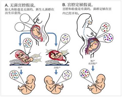 唐都医院有没有供卵_济南对供卵生的孩子的情感_山东省立医院试管婴儿移植后