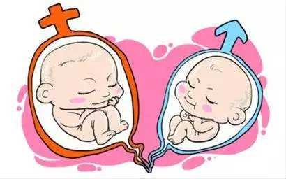 广州传承生殖医院电话[有供卵试管的吗]+试管婴儿胚胎移植能看出男女吗
